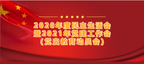 興業(yè)集團(tuán)黨委召開——2020年度民主生活會暨2021年黨建工作會（黨史教育動員會）